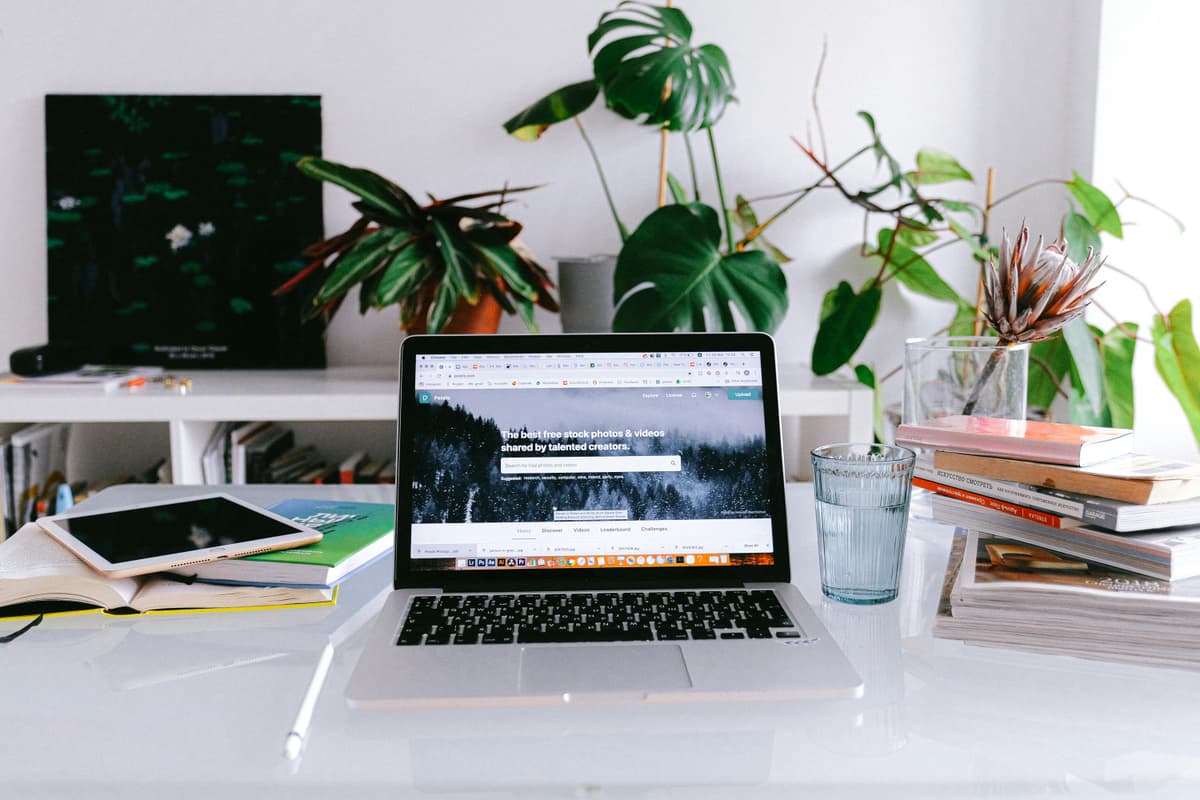How to Create a Portfolio Website in 1 Day